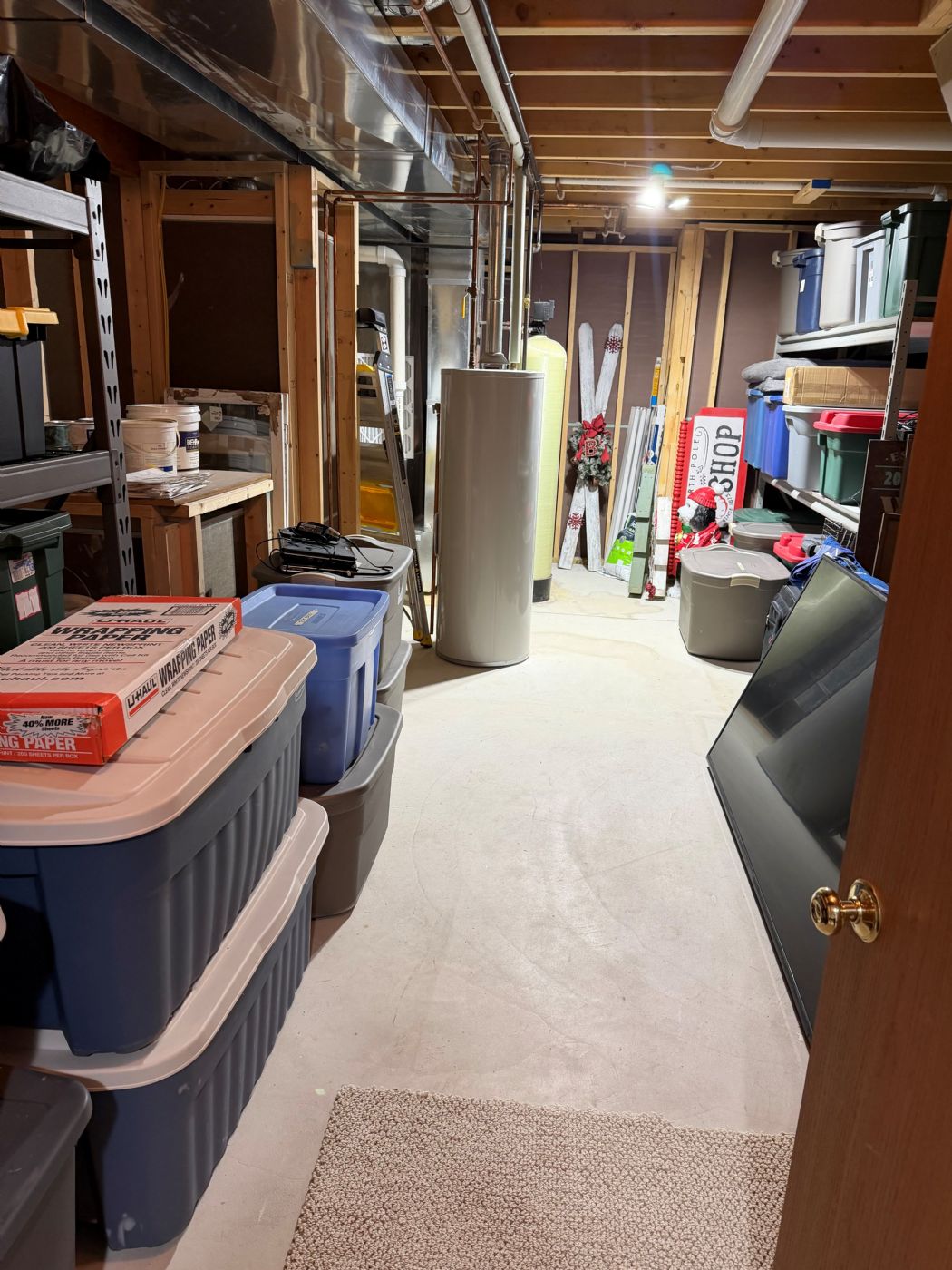 Lower Level Storage Room 2